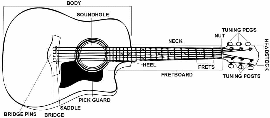 guitar-anatomy