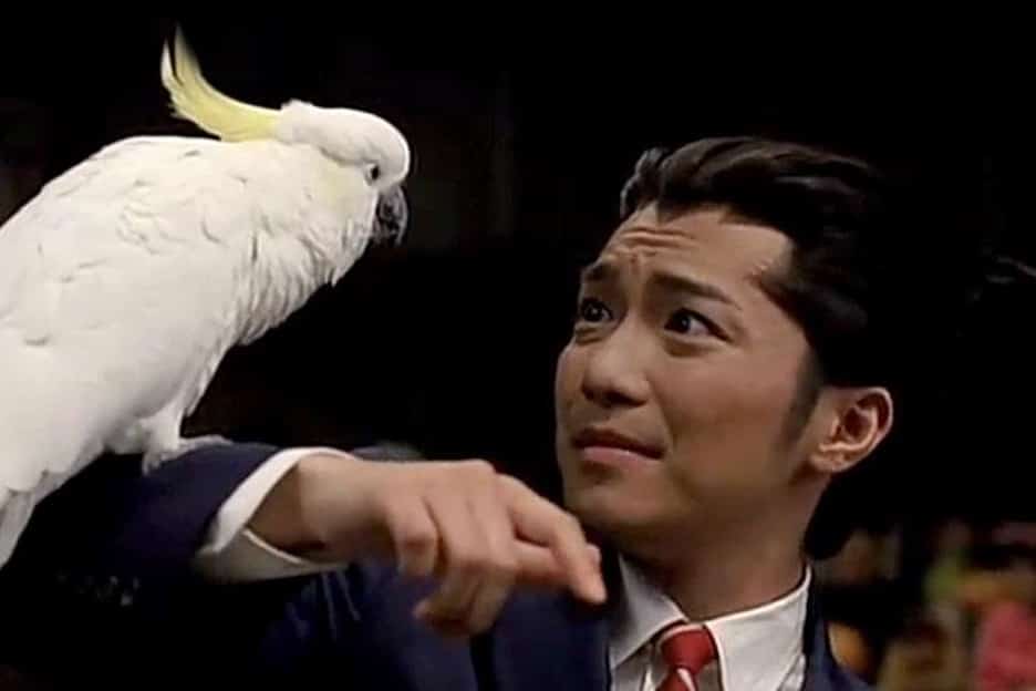 ace-attorney-action-anime