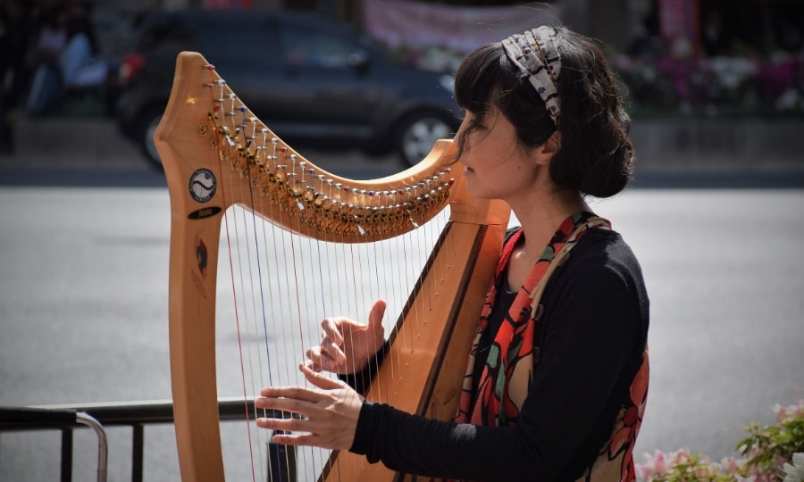  the-harp-easiest-instrument-to-play