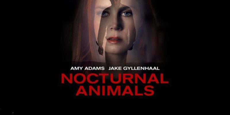 Nocturnal-Animals-Explained-With-Insights-About-Ending