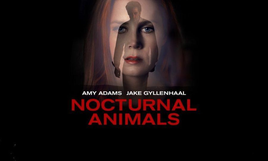 Nocturnal Animals Explained: Insights About The Ending | Calibbr